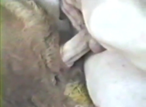 Man Fucks Goat - Naughty man makes video on the phone fucking goat - Zoo Porn