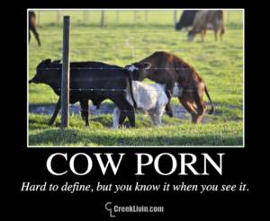 Bestiality Porn Motivational Posters - COW PORNâ€¦Hard to define, but you know it when you see it.