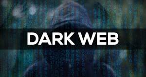 Darknet Boy Porn - Dark web child abuse image site with 400,000 members taken down in global  police sting | | local3news.com