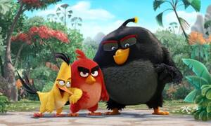 Angry Birds Porn 2016 - Why did Angry Birds fly? Thanks to European cooperation | Kati Levoranta |  The Guardian