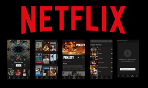 Netflix Hardcore Porn - The Importance Of QA At Netflix | Growth and Success