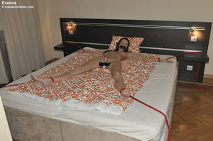Bondage Tied To Bed - Slutty brunette tied up to the bed and with - XXX Dessert - Picture 2