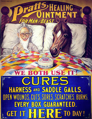 Bestiality Porn Motivational Posters - Bestiality Posters for Sale - Fine Art America