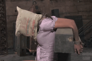 Dishonored Pregnant Porn - Dishonored The Family | MOTHERLESS.COM â„¢