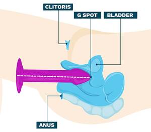 anal dildo diagram - How to Use A Dildo: PRO TIPS from a Sex Toy Tester!