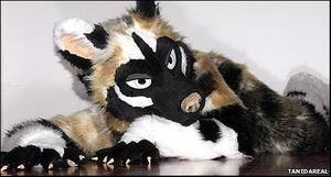 Cosplay Furry Costume Porn - Transilvanian Wild Dog Daiquiri