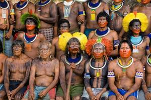 Brazilian Tribal Porn - Brazilian tribes