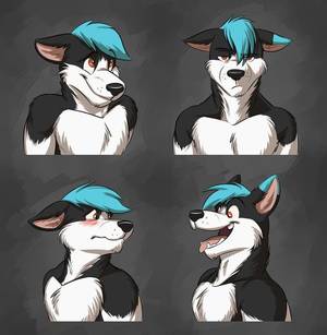 Myrl Anthro Shark Porn - Commission: Ryker's Expression Sheet by Temiree