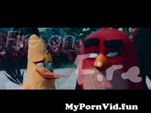 Angry Birds Porn 2016 - red x chuck (chred) | Fire on Fire | angry birds from red x chuck Watch  Video - MyPornVid.fun