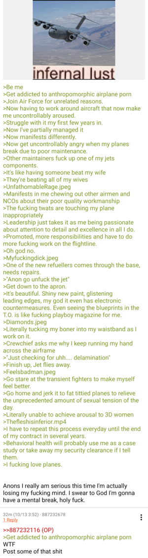4chan 3d Realistic Porn - anon is really into aviation : r/greentext
