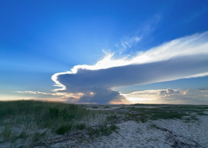 bottomless public beach - The Joy Of Doing Nothing - by Andrew Sullivan