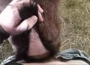 Man Fucks Goat - Man Fucks Tight Goat Pussy Gaybeast - Zoo Xxx Porn Video - Katitube Kinky  Sex