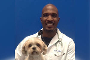 k9 porn 40s - Florida vet Prentiss Madden sentenced for sexually abusing dogs, storing  child porn