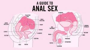 first anal sex guide - Beginner's tips for anal sex