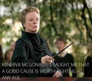 Minerva Mcgonagall Porn - MINERVA MCGONAGALL TAUGHT ME THAT A GOOD CAUSE IS WORTH FIGHTING AT ANY AGE  (azevedosreviews