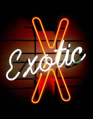 Neon Light Porn - Exotic (Vintage Porn Shop Sign) by Mark Peacock Photography