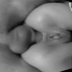 black and white close up sex - Close up Porn Pic - EPORNER
