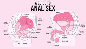 first anal sex guide - Everything You Need to Know About Anal Sex : r/gaybros