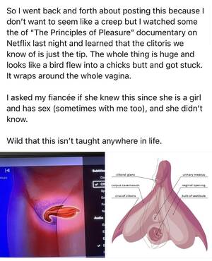 Kardashian Porn Clit - I was baked last night and learned that a clitoris is shaped like a bird  flew into a chicks butt and got stuck. : r/woahdude