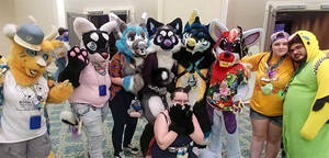 Furry Porn Costume Parties - The Ultimate Guide to the World of Gay Furry
