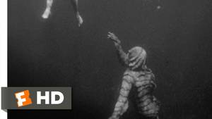 Black Lagoon Sex Videos - Creature from the Black Lagoon (4/10) Movie CLIP - Underwater Stalking  (1954) HD - YouTube