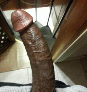 big brown dick cock - Big Brown dick - Amateur Interracial Porn