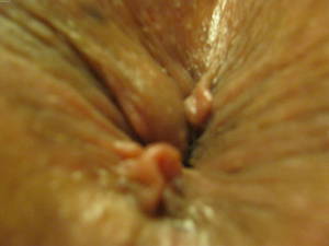 Close Up Latina Porn - asshole closeup - Latina On Yuvutu Homemade Amateur Porn Movies And XXX Sex  Videos