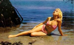1960s Bikini Sex - Glamorous Photos of Beauties in Bikinis at the Beaches in the 1960s ~  Vintage Everyday