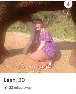 Elephant Fucks A Woman Porn - Didn't know elephants had 5 legs : r/HolUp