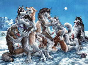 furry group sex bi - gay and bi furrys | MOTHERLESS.COM â„¢