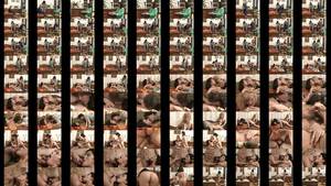 Avaler Compilation - Vintage france free french porn xvideos com