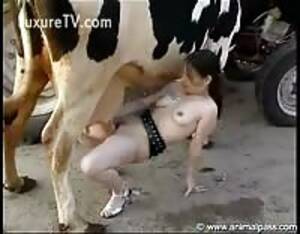 cow fisting pussy - Fisting a cow - Extreme Porn Video - LuxureTV