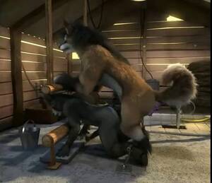 furry wolf shemale long cock - WOLF WITH HORSE COCK fucking porn (GAY FURRY YIFF), ithinono - PeekVids