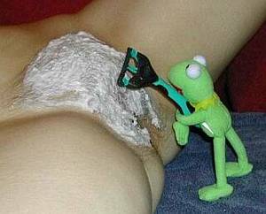Miss Piggy And Kermit Having Sex - Posted Image