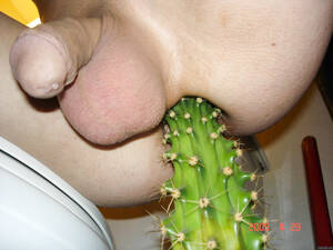 Cactus Insertion Porn - Anus and insert a cactus - Image 65828 - ThisVid tube
