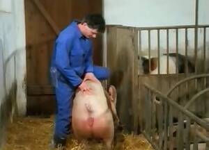 asian pig sex - Pig Videos / Anal Zoofilia / Most popular Page 1