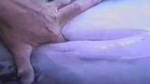 dolphin vagina cam - Dude fingering a dolphin's pussy in a hot zoo video