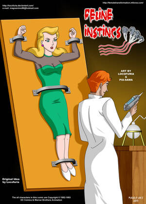 feline toon porn - Batman- Feline Instinct (Locofuria) - Porn Cartoon Comics