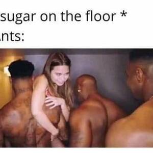 Gangbang Porn Meme - Where can I find the video of this meme? - Riley Reid #1047558 â€º  NameThatPorn.com