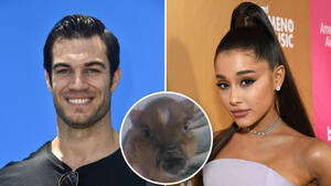 Ariana Grande Monster Porn - Sexy Vet Dr. Evan Antin Says Ariana Grande's Pig Will Probably Get Huge