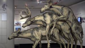 Animal Sex Art Porn - Animal porn, sex dolls, illicit photos - Check out this exclusive NSFW peek  inside the Museum of Sex | Salon.com