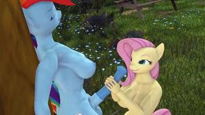 Normal Ponies Mlp Futa Porn 3d - Futa Rainbow Dash x Fluttershy by Zziowin - Pornhub.com