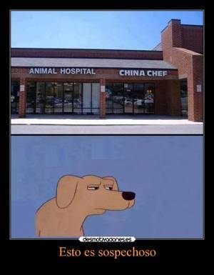 anime humor porn - carteles anime tetas humor comida simpsons cartoon futurama the china meme  hospital animal comedia porno porn