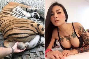 Black Gf Tiger Team Porn - Selfie-obsessed woman slammed for fondling 'drugged' tiger's testicles for  warped social media likes | The Irish Sun