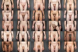 All Shapes Dicks Porn - Photos of 25 men showing penis and testicles, belly, hands and thighs