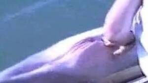 Fucking Dolphin Porn - Man finger fucks dolphin in naughty marine XXX kinks