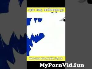 Mother Dragons Cartoon Porn - Did you know who's the mother of Dragon Booster from cartoon porn dragon  booster Watch Video - MyPornVid.fun