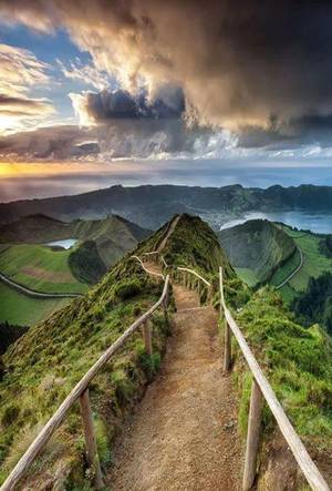 Azorean - Azores