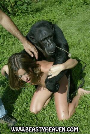 Gorilla And Girl Porn - Gorilla and woman porno. BEST Porno free image.
