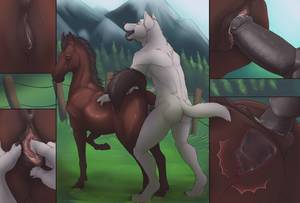 Anthro Feral Yiff Porn - e621 2015 absurd_res animal_genitalia animal_penis animal_pussy anthro  anthro_on_feral anthro_penetrating_feral anus arctic_wolf bestiality  black_penis ...